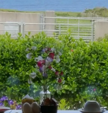 Ocean Heights Bed & Breakfast