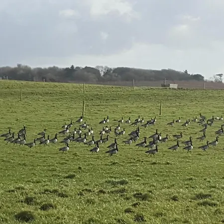 Panzió Ocean Heights