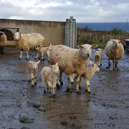 Bed & Breakfast Ocean Heights Lissadell