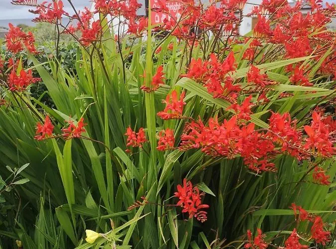 Ocean Heights Lissadell