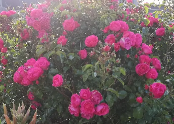 Ocean Heights ベッド・アンド・ブレックファスト