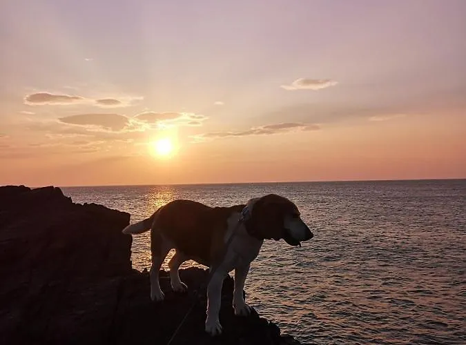 Frühstückspension Ocean Heights 4*