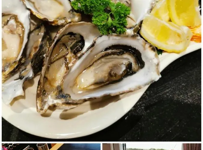 Ocean Heights Frühstückspension Lissadell