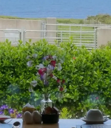 Ocean Heights Bed & Breakfast