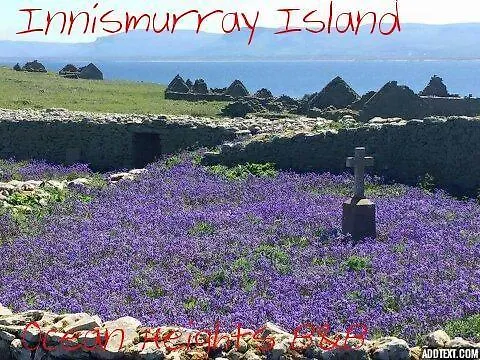 Ocean Heights ベッド・アンド・ブレックファスト Lissadell