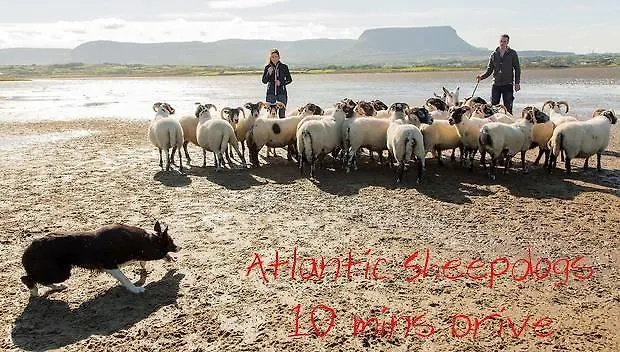 ベッド・アンド・ブレックファスト Ocean Heights