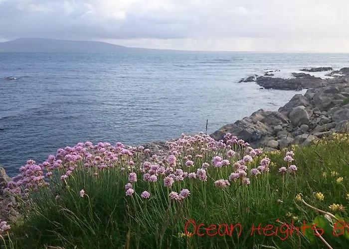 Ocean Heights Bed & Breakfast Lissadell