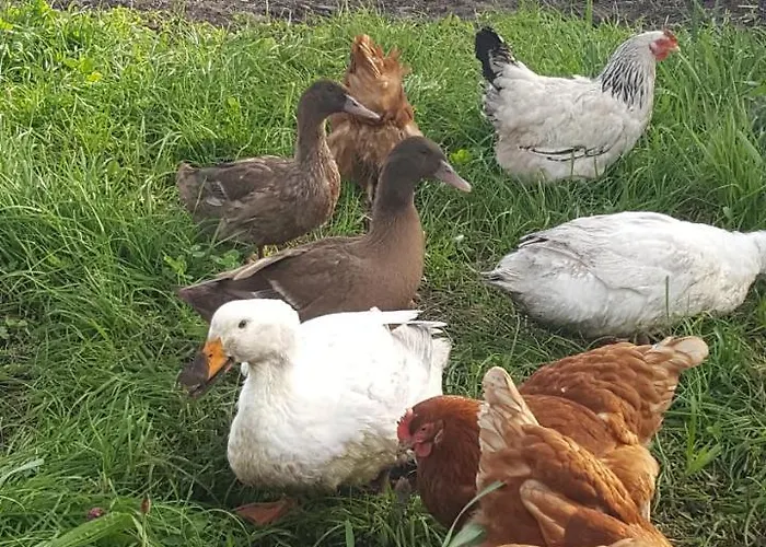 Bed & Breakfast Ocean Heights