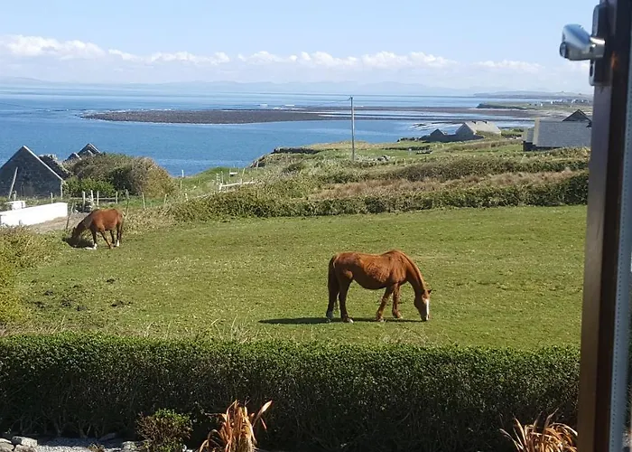 Ocean Heights Lissadell