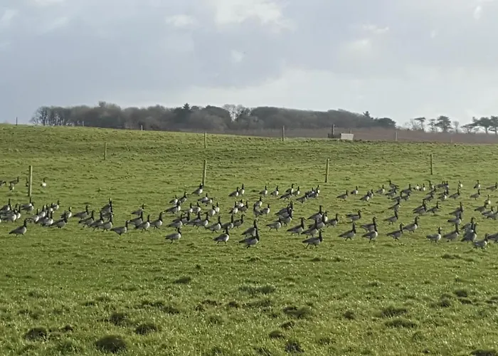 Bed & Breakfast Ocean Heights